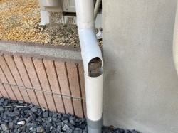 交換補修依頼のあった割れた雨樋
