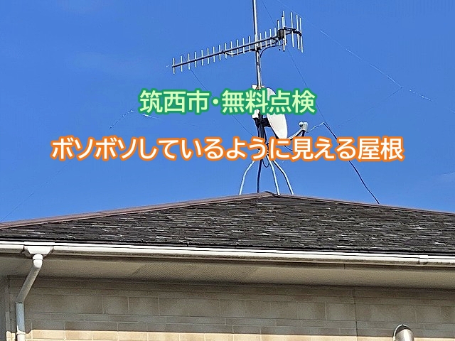 筑西市で屋根無料点検！危険な棟板金の釘浮きと屋根材の先端割れを確認