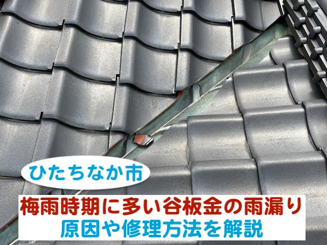 ひたちなか市　梅雨時期に多い谷板金の雨漏り｜原因や修理方法を解説