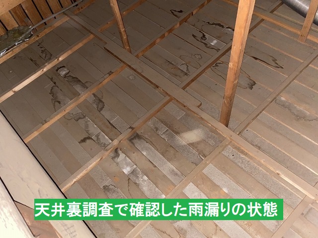 台所天井の天井裏の雨漏り状況