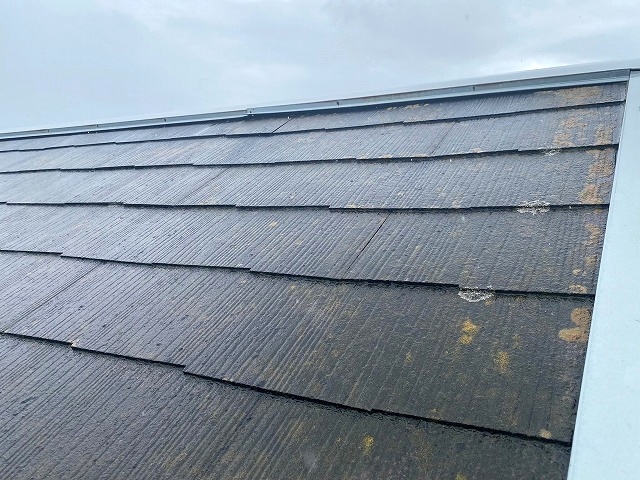 カビや藻が発生したスレートコロニアル屋根