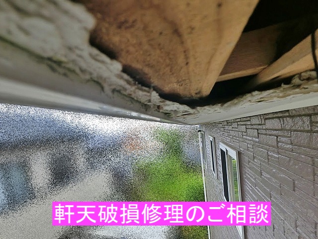 ひたちなか市で強風で軒天が落ちてちまったとの相談