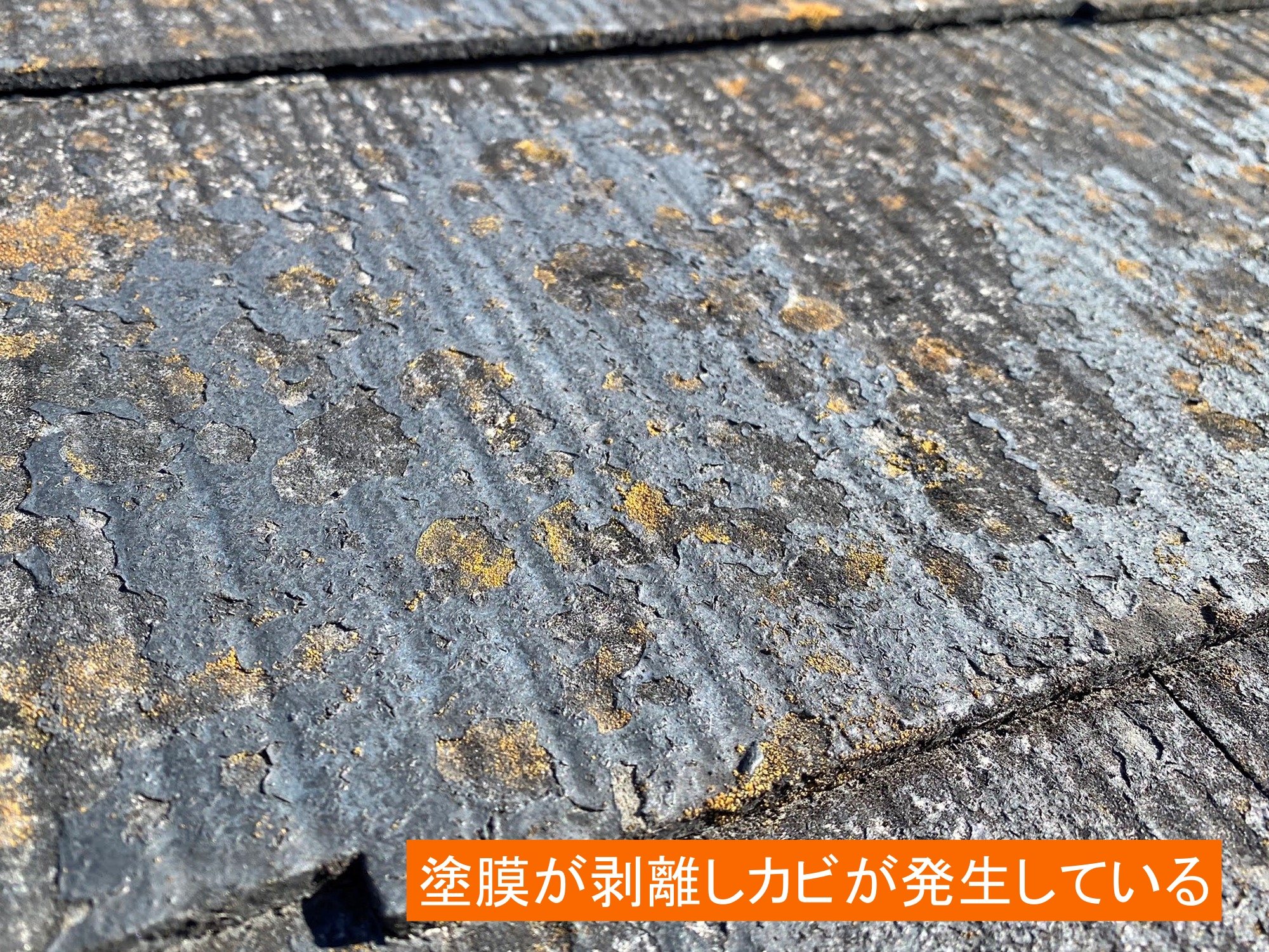 コロニアル屋根の表面は塗膜が剥がれカビ発生