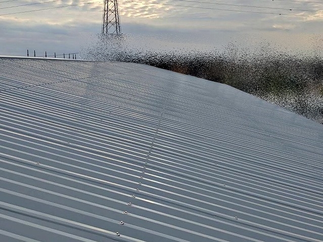 神栖市　経年工場屋根のカバー工事　施工後の写真