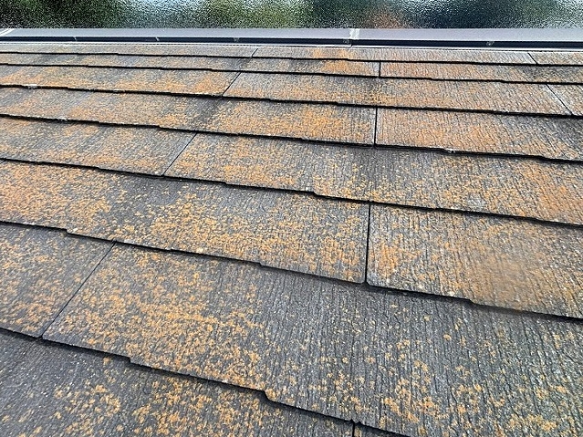 ひたちなか市の塗装前のカビやコケに覆われたコロニアル屋根