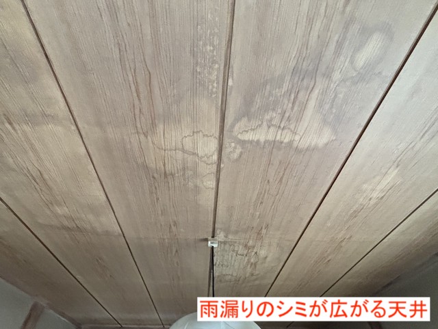 雨漏りの染みが広がる桜川市の室内天井