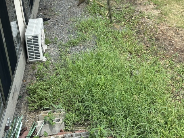 水戸市のお客様宅のお庭