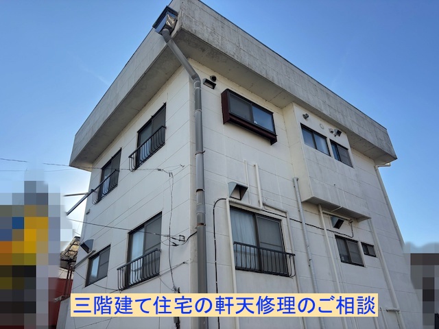 古河市の三階建て住宅で軒天が剥がれた箇所から鳥が入るとの御相談