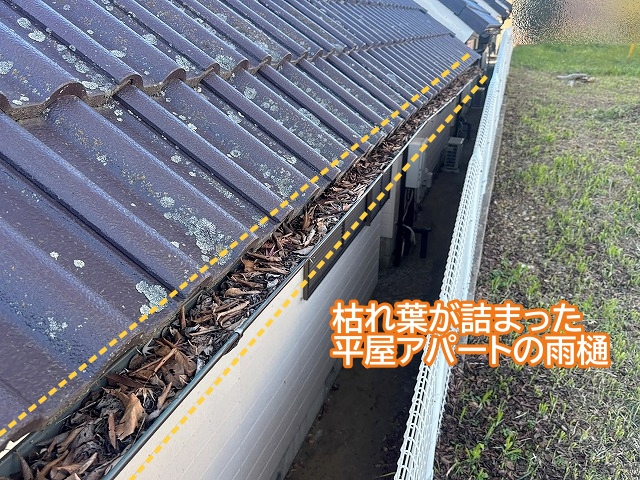 枯れ葉が詰まった平屋アパートの雨樋