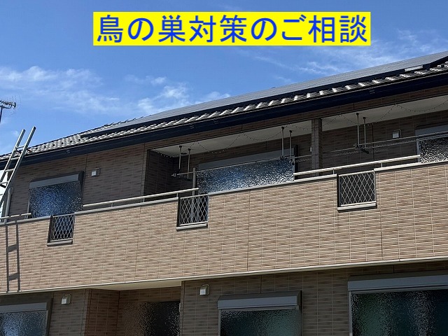 水戸市で鳥の巣対策の相談