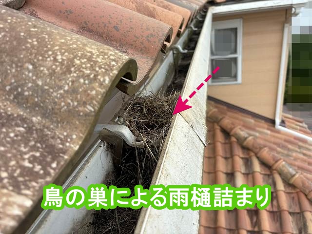 水戸市　雨樋詰まりの原因は鳥の巣！清掃はしたが根本的な改善が必要
