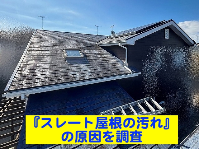 ひたちなか市　スレート屋根の汚れ調査　屋根全景の写真