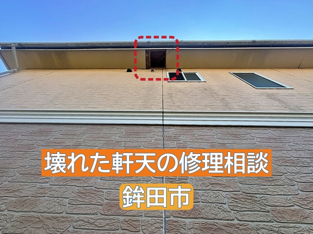 鉾田市　壊れた軒天の修理相談があり調査｜軒天裏に大量の鳥の巣を確認