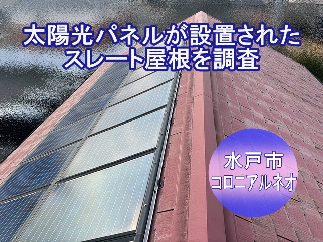 水戸市　太陽光設置屋根のカビや変色相談｜現場調査後の判断と提案
