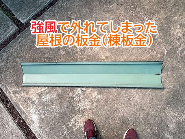 水戸市　屋根の板金が強風で脱落し調査時に緊急養生｜気づきにくい釘抜け