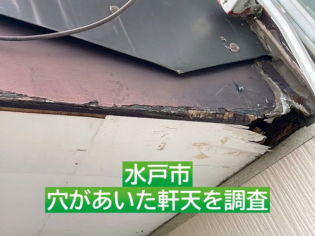 水戸市　軒天の穴から小動物が侵入！｜白色のカラー合板で部分張り替え