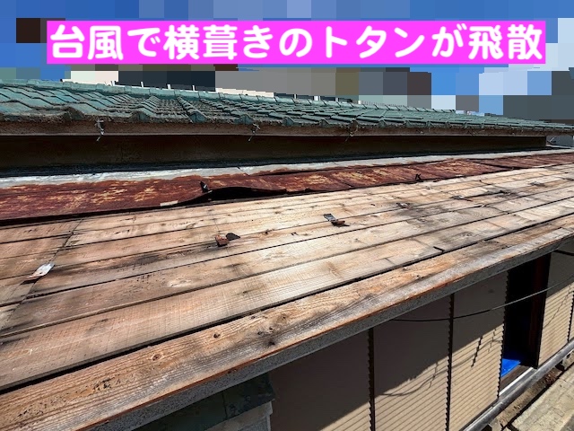 水戸市　台風でトタン屋根がめくれた現場調査　露出した野地板の写真