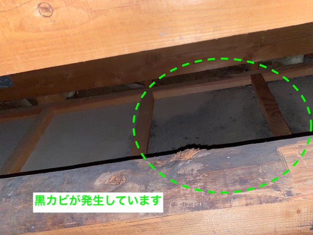黒カビが天井材に発生しているのが天井裏確認でわかる