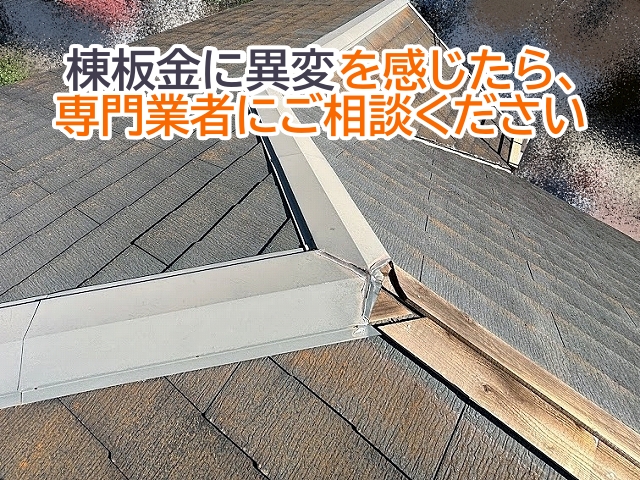 棟板金に浮きなどの異変を感じた場合は早めに専門業者に相談する