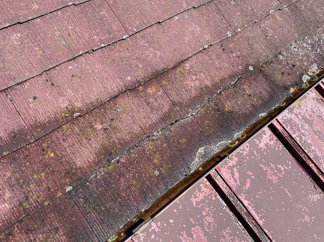 雨水の侵入口は破損したコロニアル屋根と判明