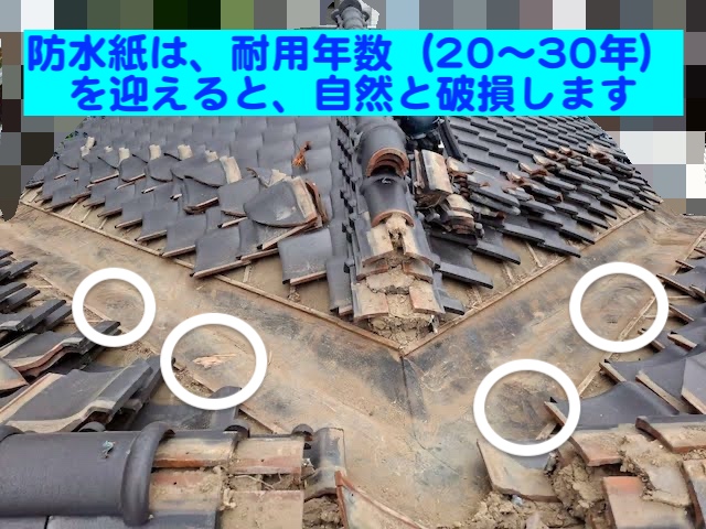 ひたちなか市　谷板金の雨漏り　劣化した防水紙の写真