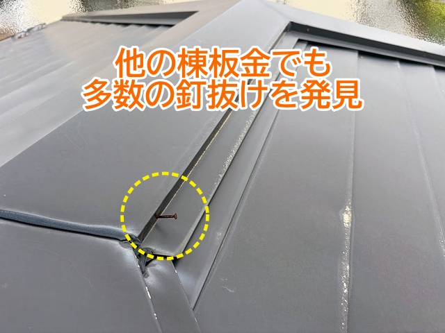 脱落した場所だけではなく他の棟板金にも釘抜けが多数