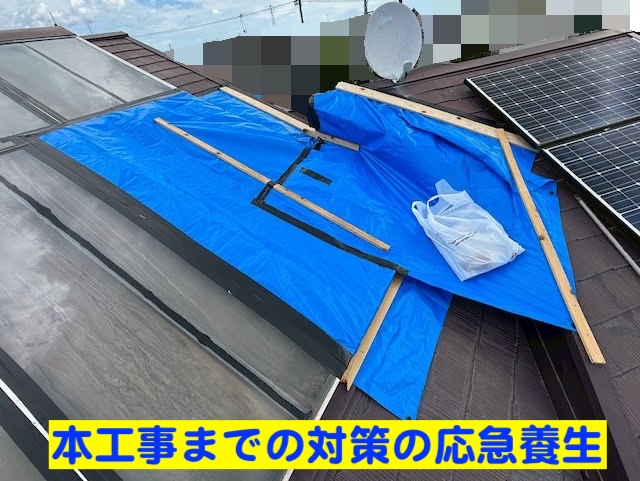 ひたちなか市　OMソーラー付きコロニアル屋根の雨漏り　応急養生の写真