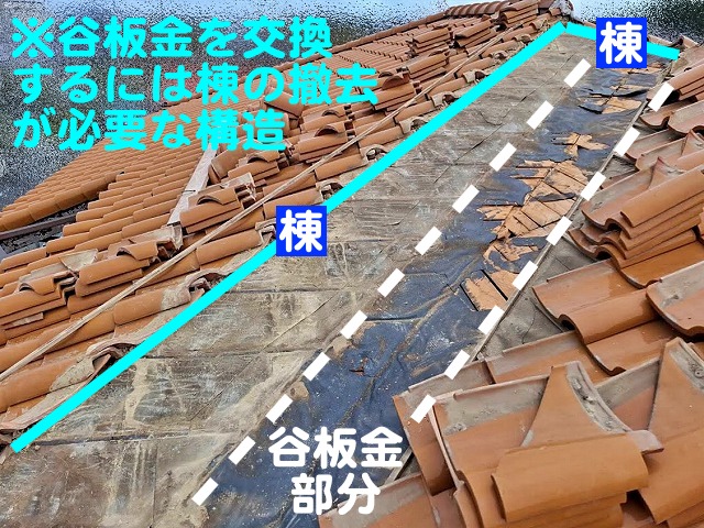 谷板金を交換する際は棟の解体が必要な構造