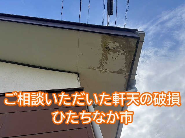 ひたちなか市で軒天の破損と瓦ずれを調査