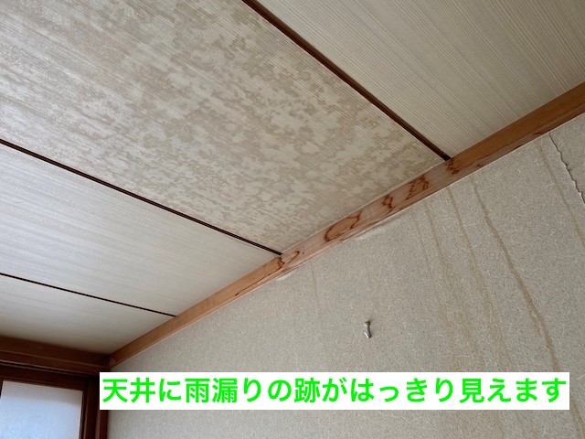 和室の天井にクッキリ残る雨漏り跡