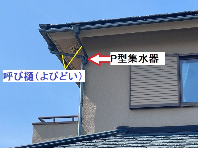 那珂市で雨樋のP型集水器詰まりを清掃！畑や鳥の往来にはご用心 | 水戸 