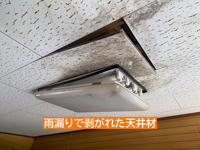 雨漏りにより剥がれた天井材と照明器具
