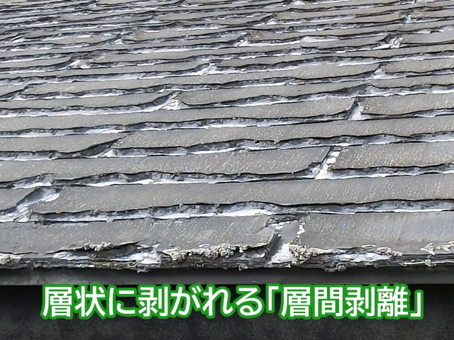 屋根材の先端部分がミルフィーユのように剥がれる層間剥離はパミール特有の症状