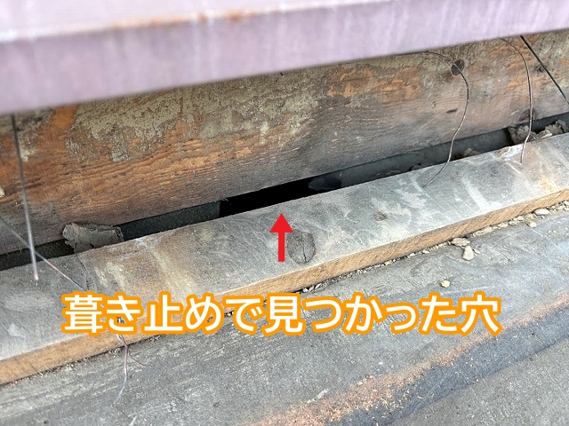 瓦を外して見つかった葺き止めにあいた穴