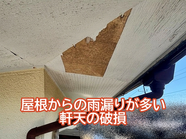 軒天の破損は屋根からの雨漏りが原因のケースが多い