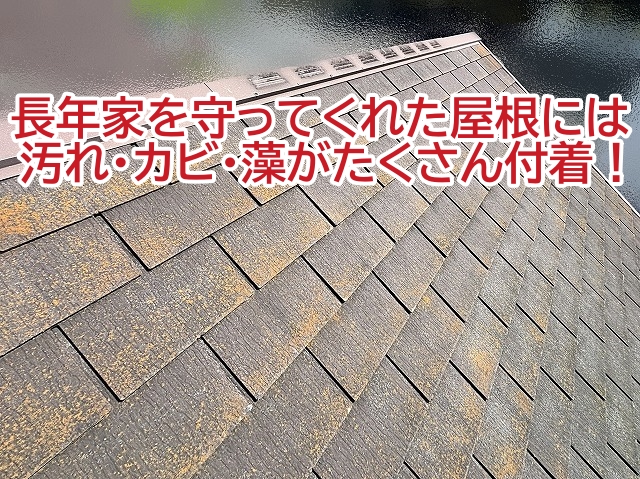 日立市 割れやすい屋根材スぺリアルNEO!カバー工法前の洗浄工程