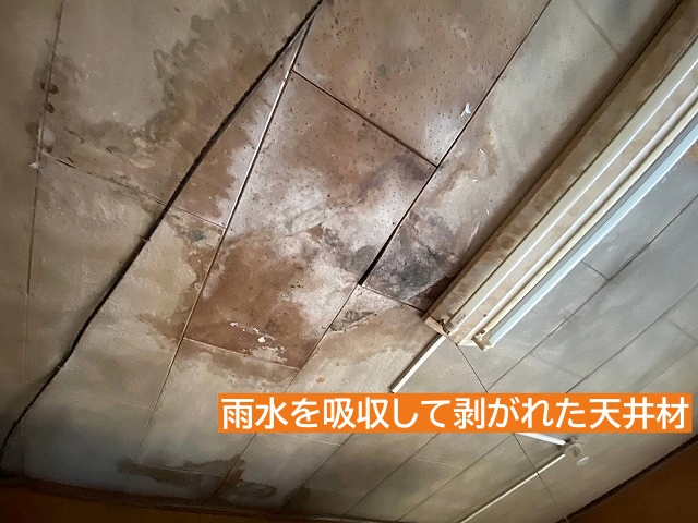 雨水を吸収して膨張して剥がれた天井材