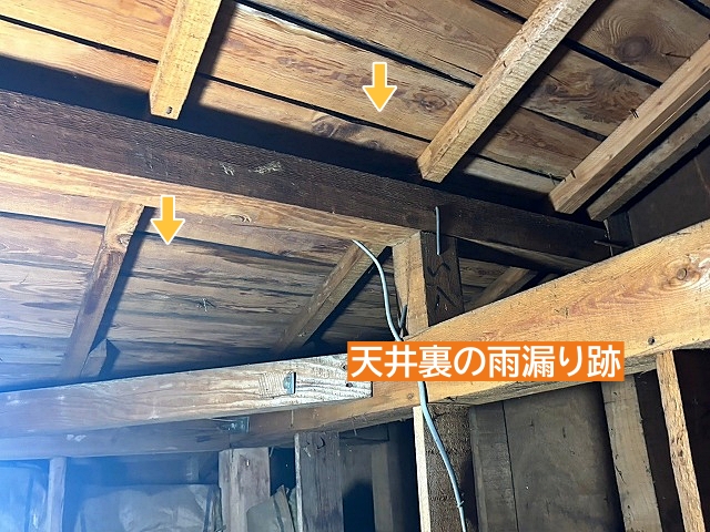 天井裏の雨漏りの痕跡を確認