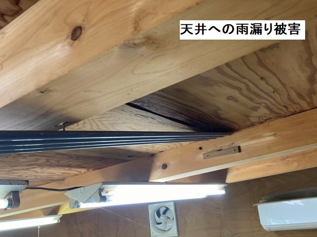 鉾田市の作業小屋野地板の雨漏り痕