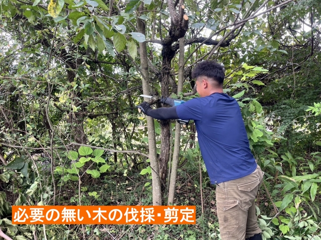 雑木の剪定・伐採