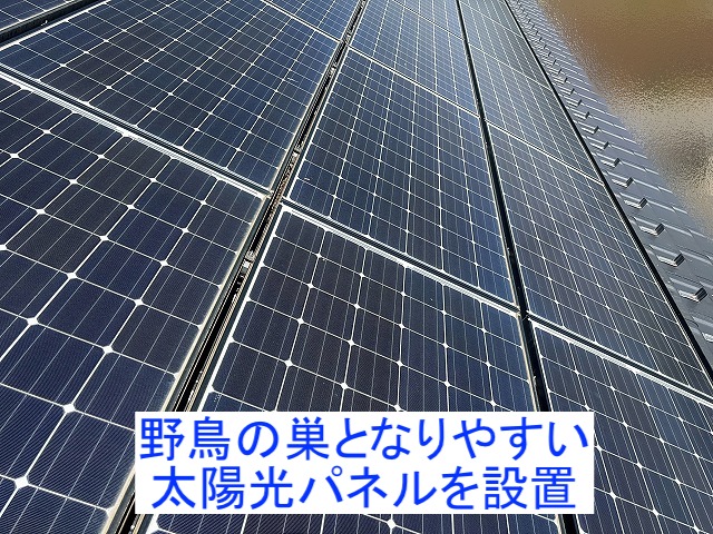 水戸市　太陽光パネルと瓦の間の鳥の巣対策相談！最善の対策法は！？