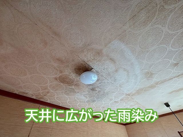 天井に広範囲に広がった雨染み