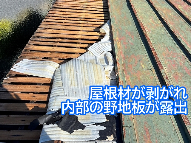 強風で瓦棒トタン屋根が剥がれ内部の野地板が露出