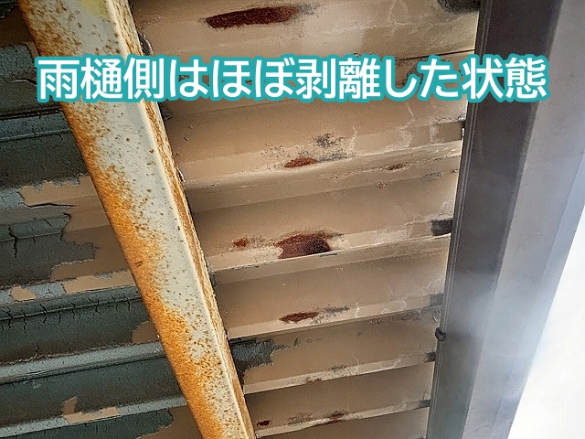 雨樋側のぺフがほとんど剥離した状態の折板屋根