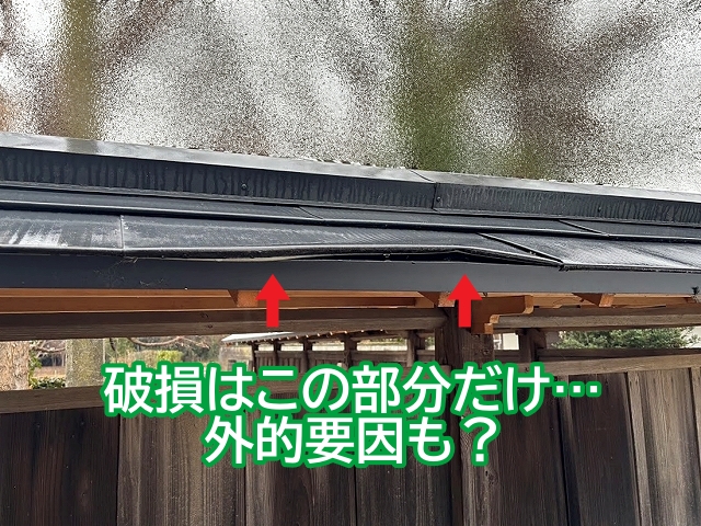 嵌合構造の金属屋根の一部分の変形は外的要因も考えられる