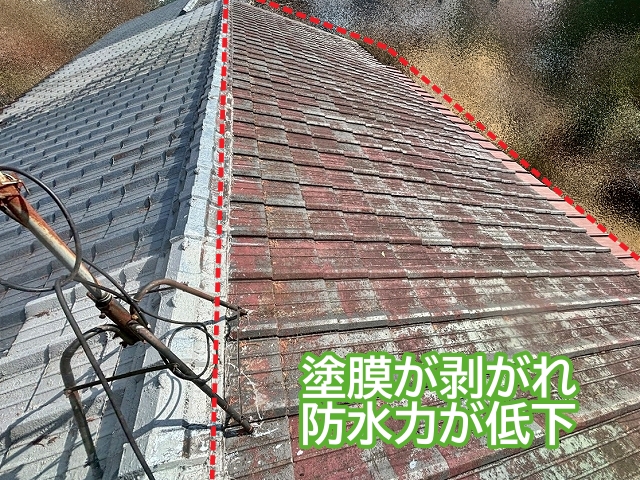 屋根一面が塗膜が剥がれ防水力が低下したセメント瓦