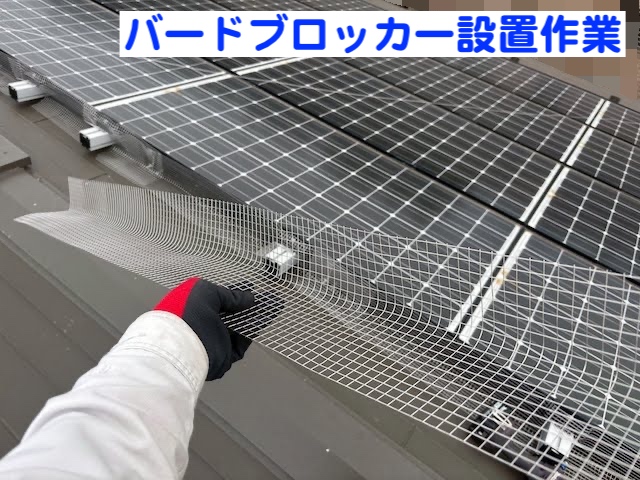 茨城町　屋根と太陽光パネルの隙間の鳥よけ対策　ハトブロッカー設置作業の写真