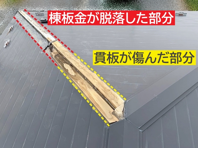 棟板金が脱落した部分と貫板が傷んだ部分