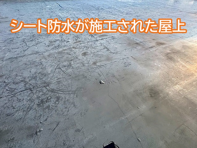 シート防水が施工された城里町の事務所建屋