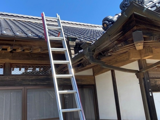 和形瓦屋根の大棟漆喰剥がれ梯子をかけて調査開始